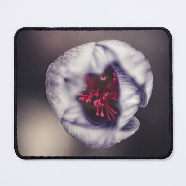 Item preview, Crocus designed and sold by Lauviahsdesign.