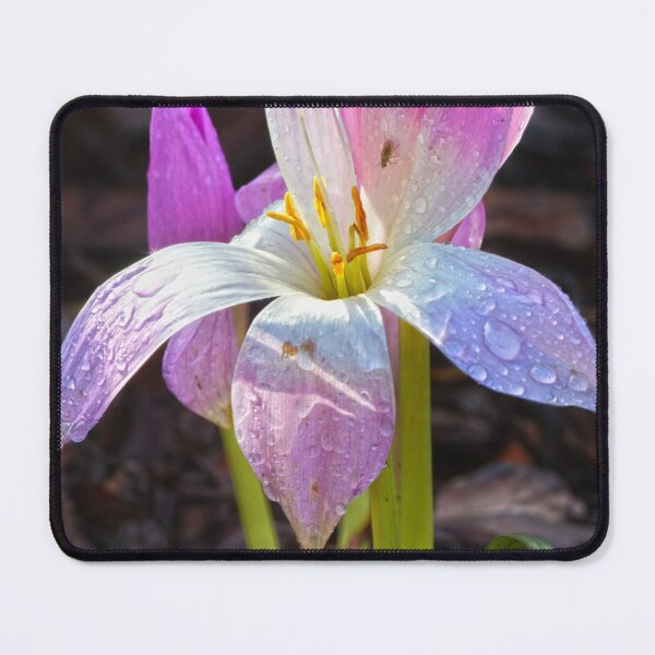 Item preview, Crocus designed and sold by Lauviahsdesign.