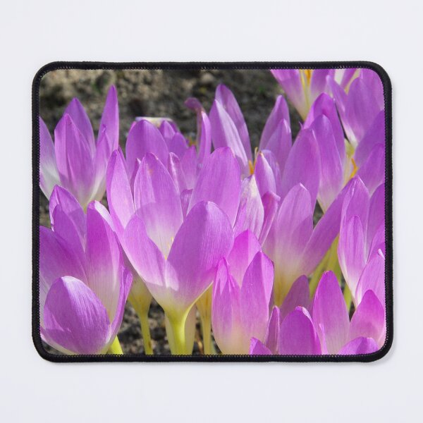 Item preview, Crocus designed and sold by Lauviahsdesign.