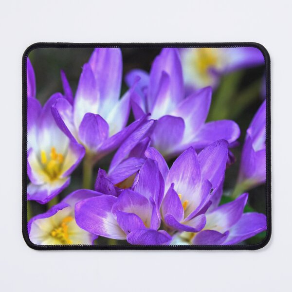 Item preview, Crocus designed and sold by Lauviahsdesign.
