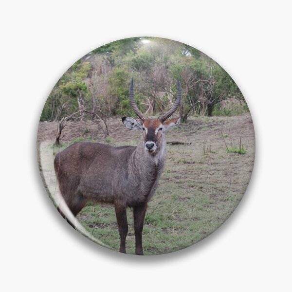 Item preview, Waterbuck designed and sold by Beatella.