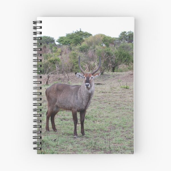 Item preview, Waterbuck designed and sold by Beatella.