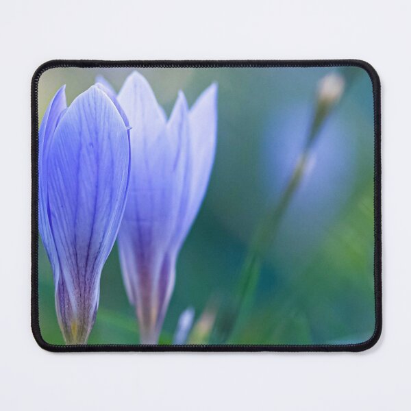 Item preview, Crocus designed and sold by Lauviahsdesign.