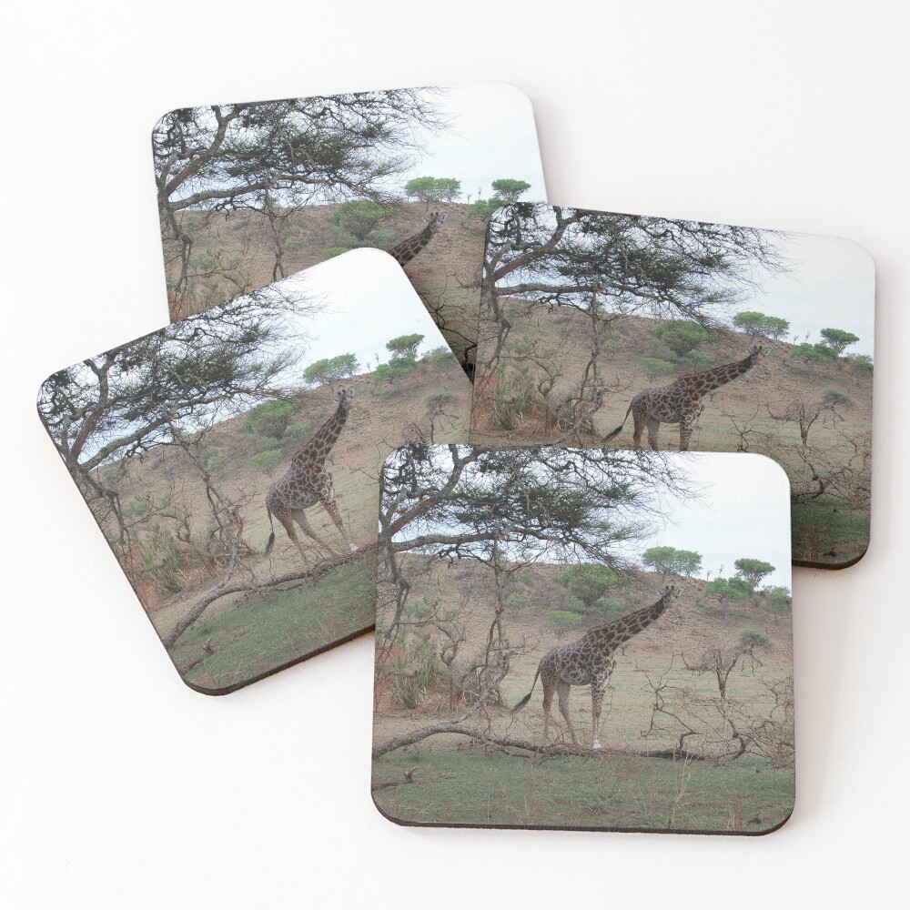 Item preview, Coasters (Set of 4) designed and sold by Beatella.