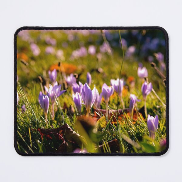 Item preview, Crocus designed and sold by Lauviahsdesign.