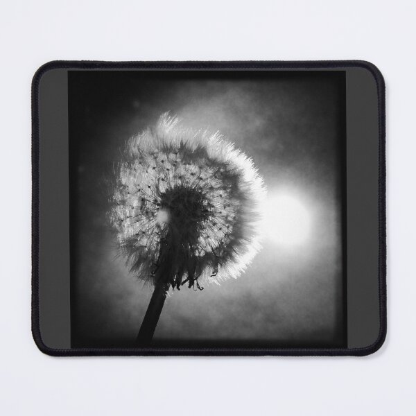 Item preview, Dandelions in the sunlight designed and sold by Christine Mignon.