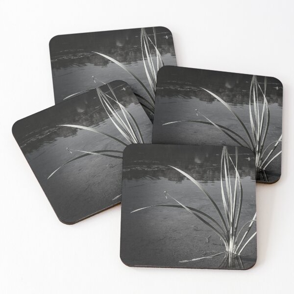Item preview, Black and White River Plant designed and sold by STIGPhotoDesign.