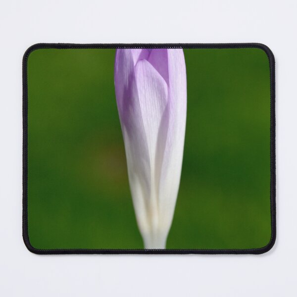 Item preview, Crocus designed and sold by Lauviahsdesign.