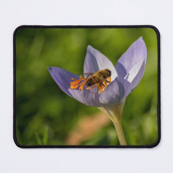 Item preview, Crocus designed and sold by Lauviahsdesign.
