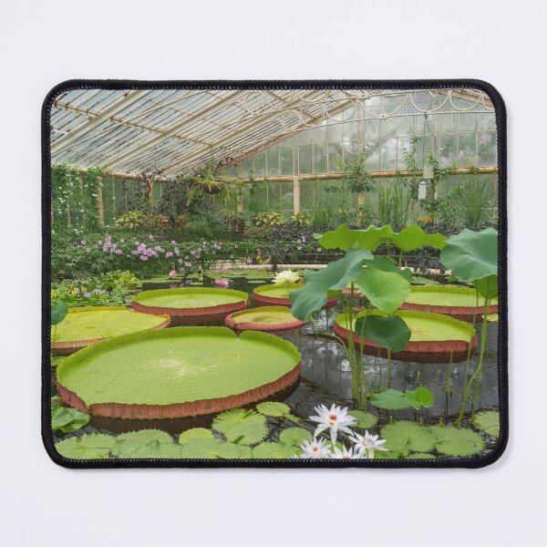 Item preview, Giant lily Pads  designed and sold by hawkie.