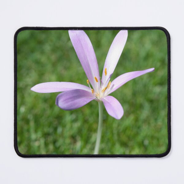 Item preview, Crocus designed and sold by Lauviahsdesign.