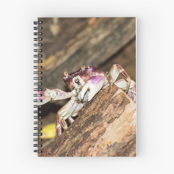 Item preview, Christmas Island purple crab designed and sold by John Donkin.