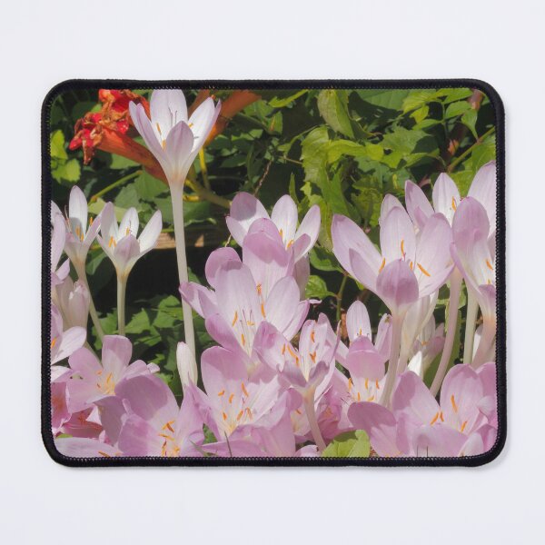 Item preview, Crocus designed and sold by Lauviahsdesign.