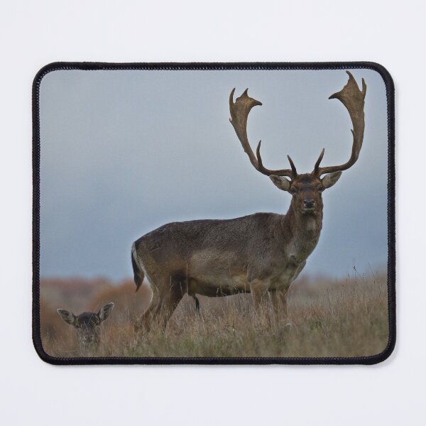 Item preview, Stag and Doe at Petworth designed and sold by Barry Goble.