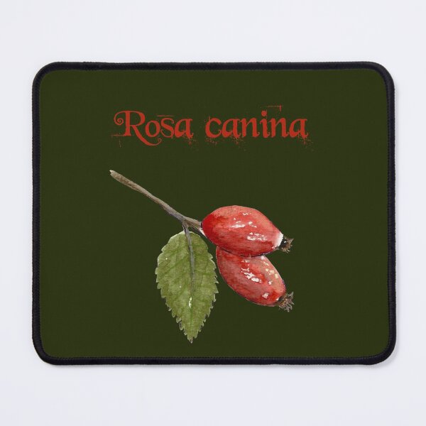 Item preview, Rosa canina - Rosehip designed and sold by simh.