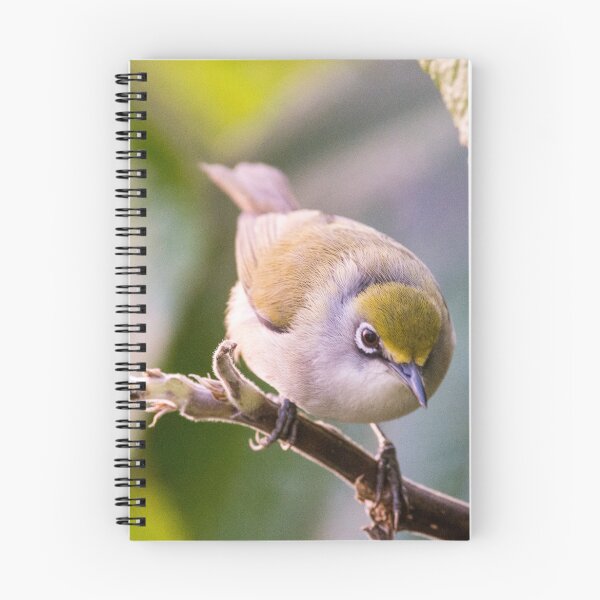Item preview, Christmas Island White-eye designed and sold by John Donkin.