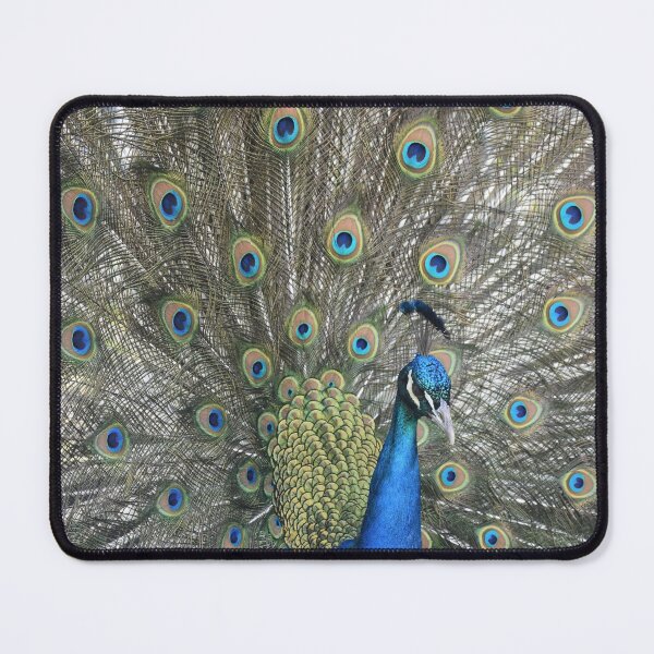 Item preview, Peacock with Tail Open designed and sold by Kathleen Brant.