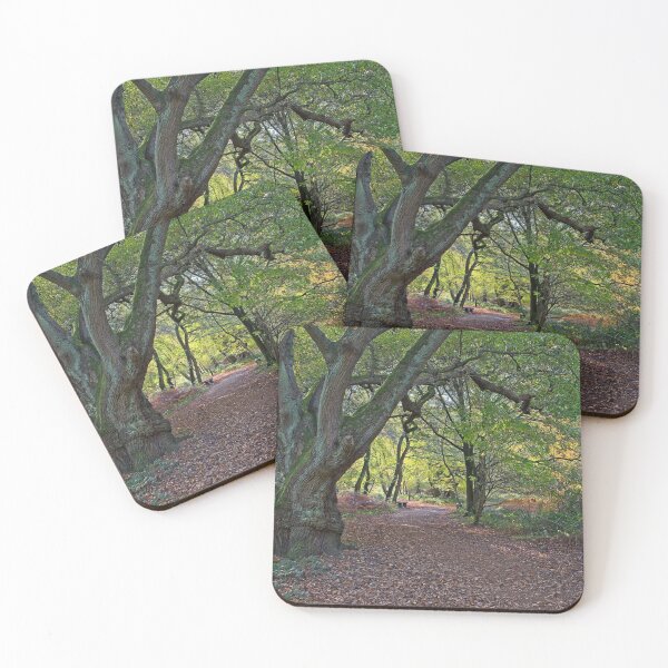 Item preview, Woodland Path in Autumn,  Epping Forest, Essex, UK designed and sold by AnitaLynne.