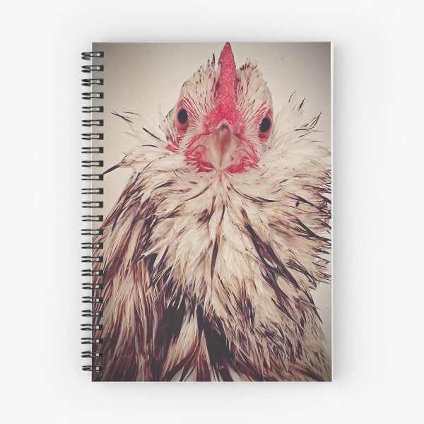 Item preview, Barbi's favorite chicken designed and sold by TrojanHorseNews.