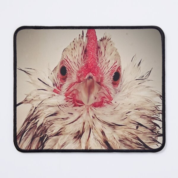 Item preview, Barbi's favorite chicken designed and sold by TrojanHorseNews.