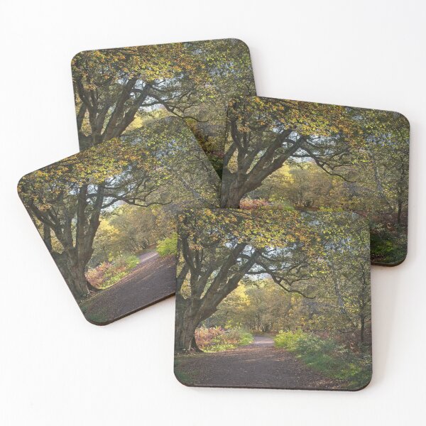 Item preview, Woodland Path in autumn, Epping Forest, Essex, UK designed and sold by AnitaLynne.