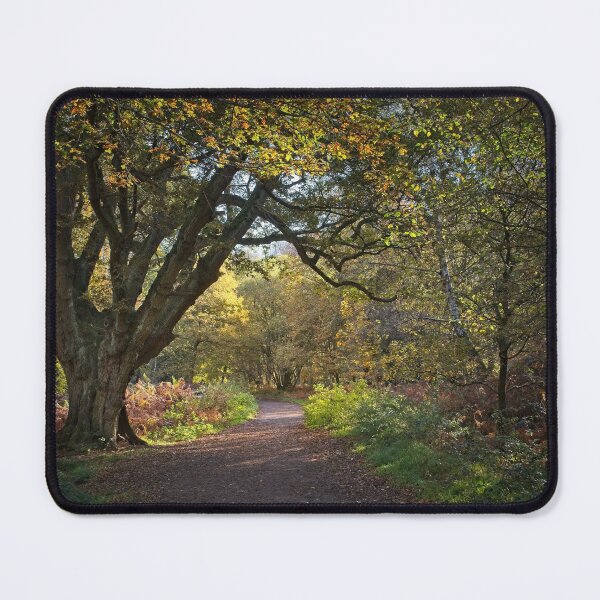 Item preview, Woodland Path in autumn, Epping Forest, Essex, UK designed and sold by AnitaLynne.