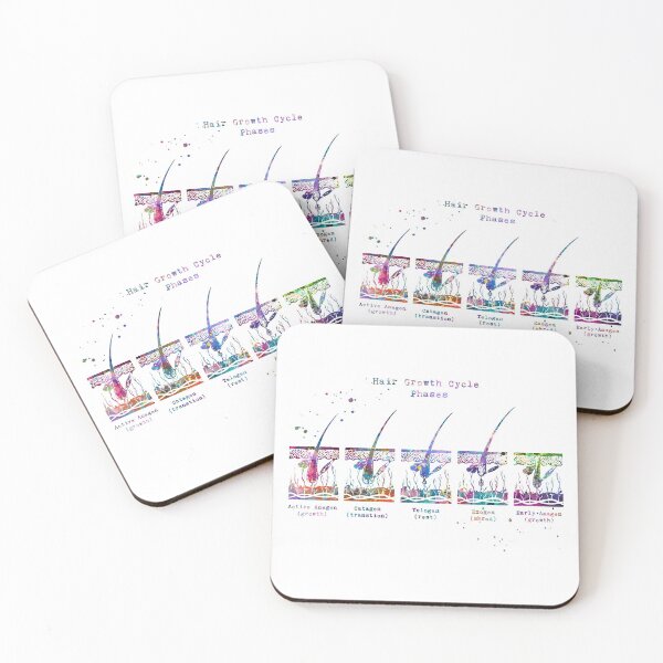 Item preview, Hair Growth Cycle Phases Diagram designed and sold by EvasDreams.