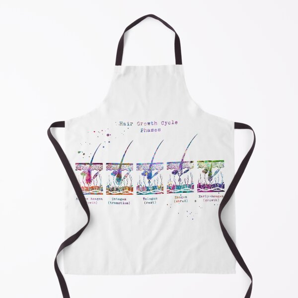Item preview, Hair Growth Cycle Phases Diagram designed and sold by EvasDreams.