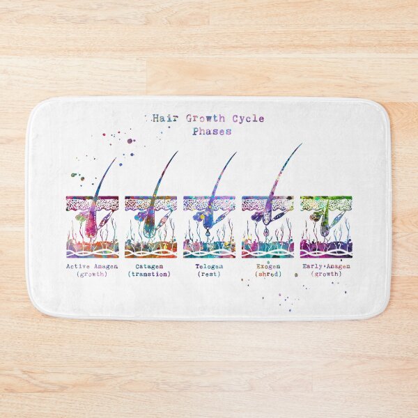 Item preview, Hair Growth Cycle Phases Diagram designed and sold by EvasDreams.