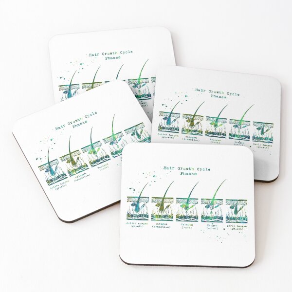 Item preview, Hair Growth Cycle Phases Diagram designed and sold by EvasDreams.