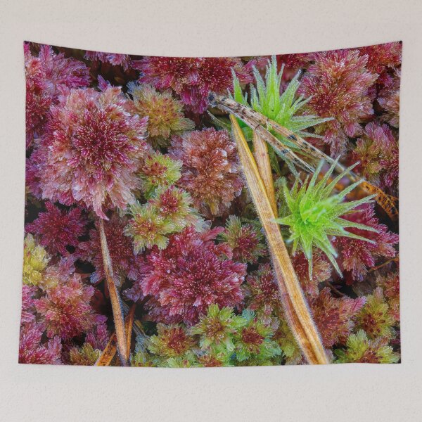 Item preview, Autumn mosses designed and sold by Veikko  Suikkanen.