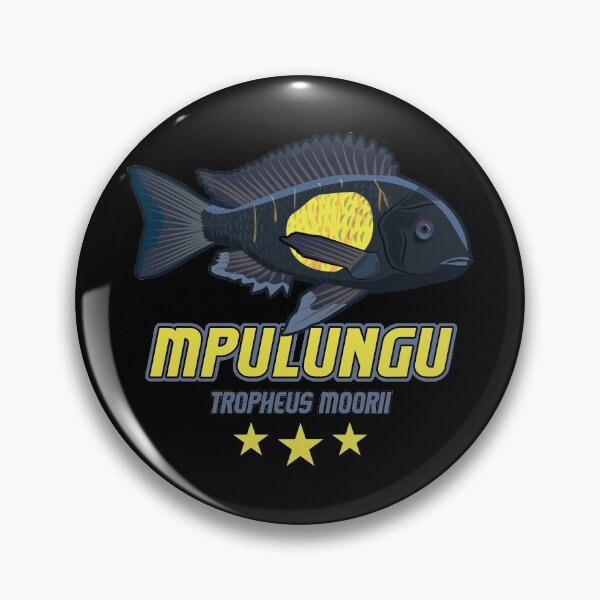 Item preview, Tropheus Moorii Moori Mpulungu Tanganyika Cichlid Aquarist designed and sold by TheAplus.