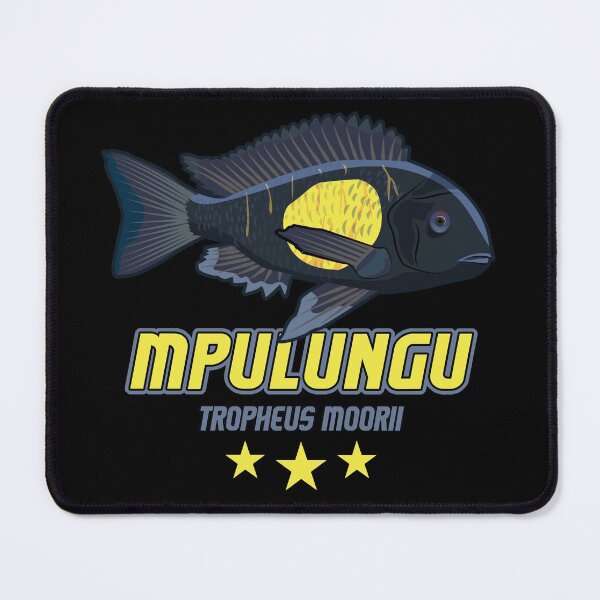 Item preview, Tropheus Moorii Moori Mpulungu Tanganyika Cichlid Aquarist designed and sold by TheAplus.
