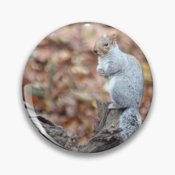Item preview, POSING SQUIRREL designed and sold by BOLLA67.