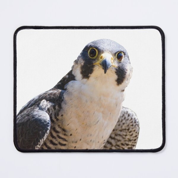 Peregrine falcon Mouse Pad