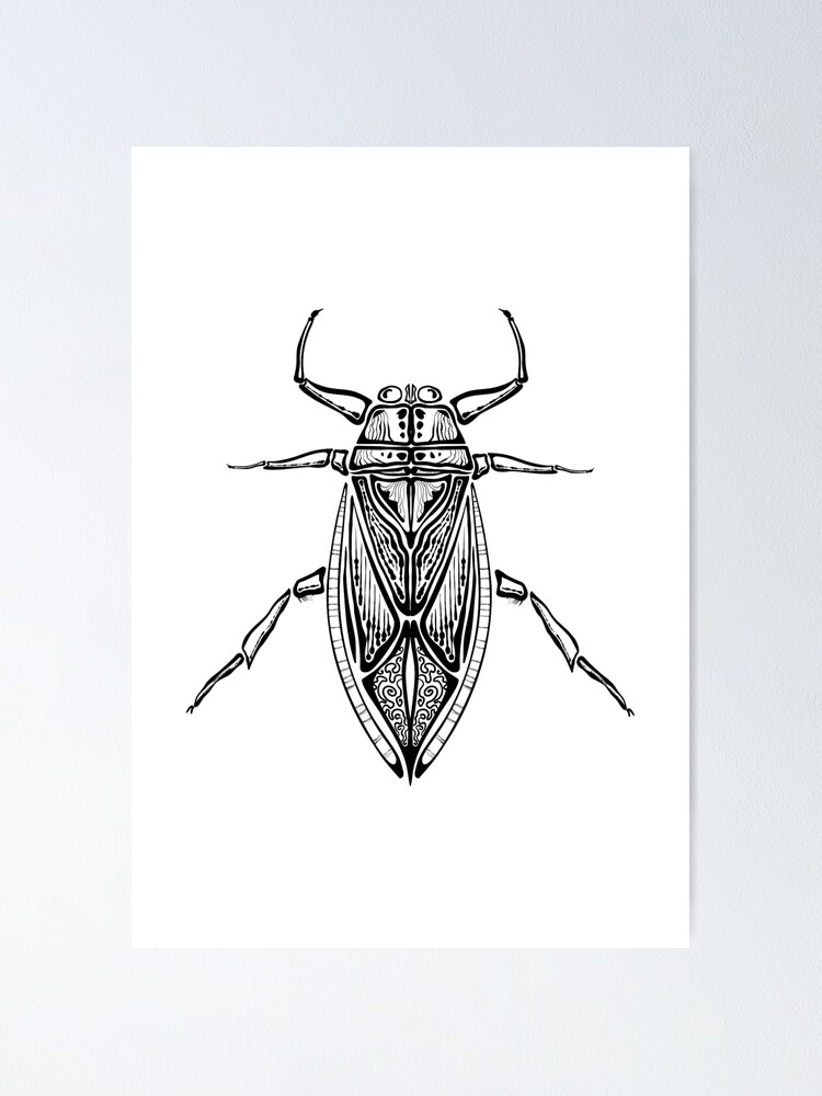Lunkerhunt Water Bug Color 01 - Beetle Juice