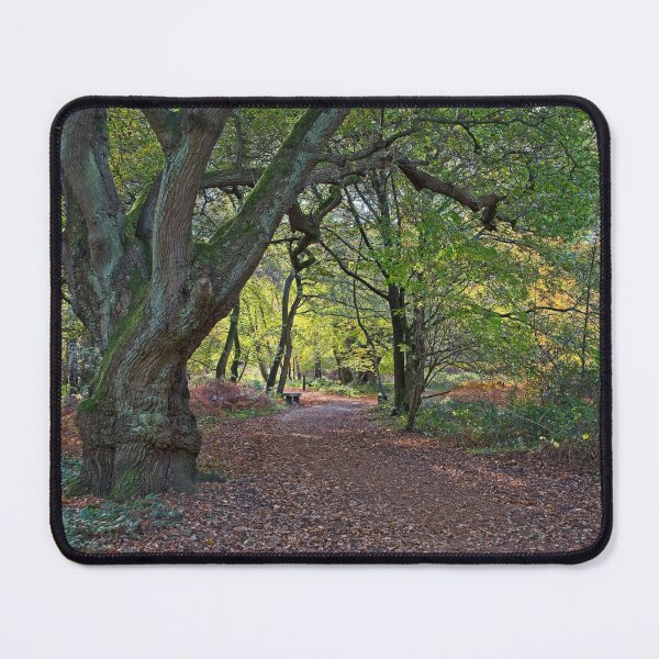 Item preview, Woodland Path in Autumn, Epping Forest, Essex, UK designed and sold by AnitaLynne.
