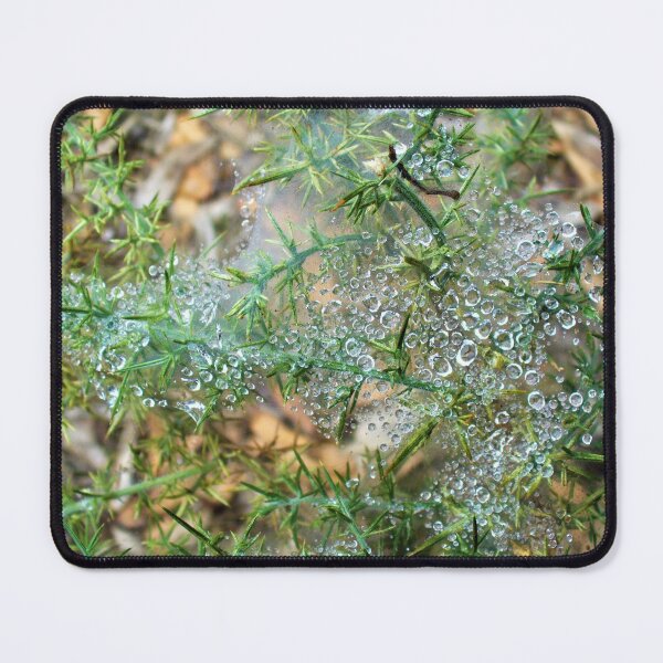 Item preview, Dew Web designed and sold by KaSaPo.
