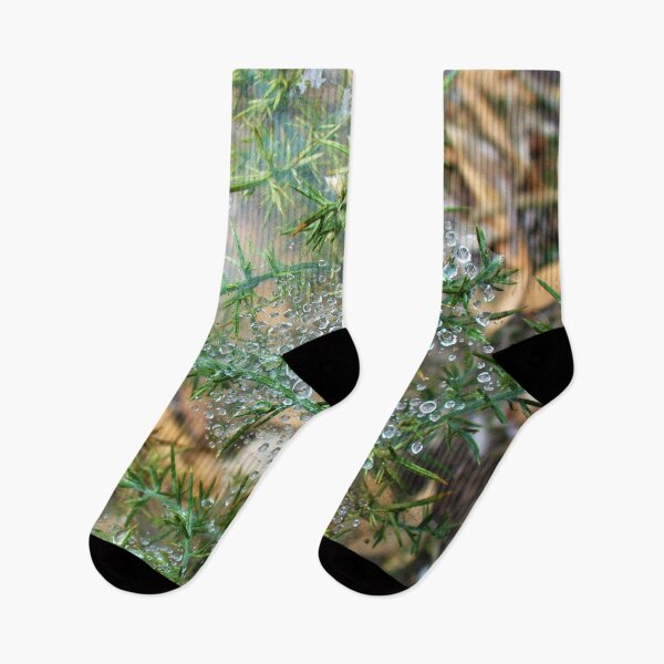 Item preview, Dew Web designed and sold by KaSaPo.
