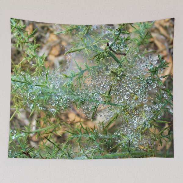 Item preview, Dew Web designed and sold by KaSaPo.