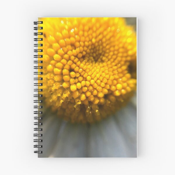 Item preview, Summer Daisy designed and sold by MyMacro_Photography (MyMacro).