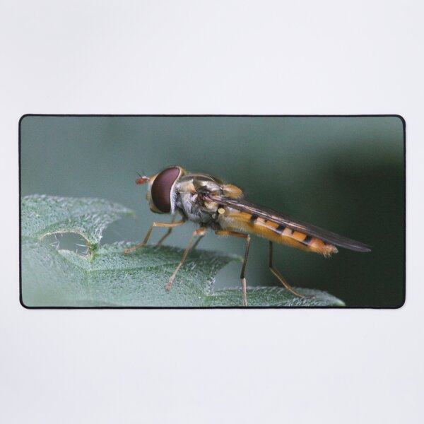 Item preview, The cutest little hoverfly designed and sold by cuprum.