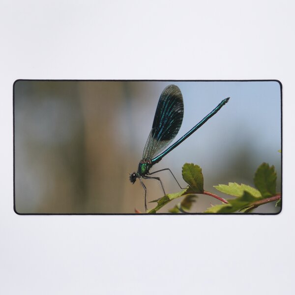 Item preview, Banded demoiselle designed and sold by cuprum.