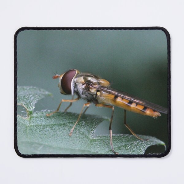 Item preview, The cutest little hoverfly designed and sold by cuprum.