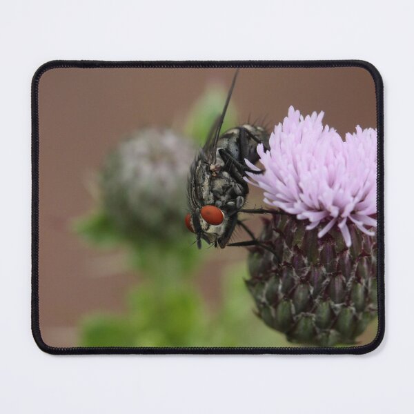 Item preview, Flesh Fly designed and sold by cuprum.