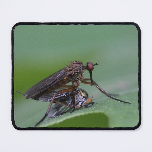 Item preview, Nature's cruel beauty designed and sold by cuprum.