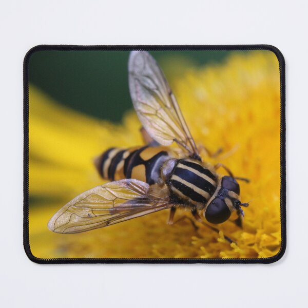Item preview, Hoverfly on Alant designed and sold by cuprum.