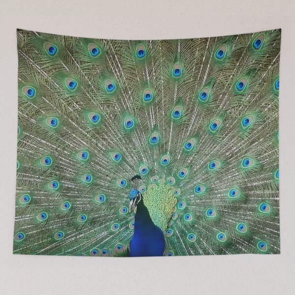 Item preview, Peacock designed and sold by sjfreeman88.