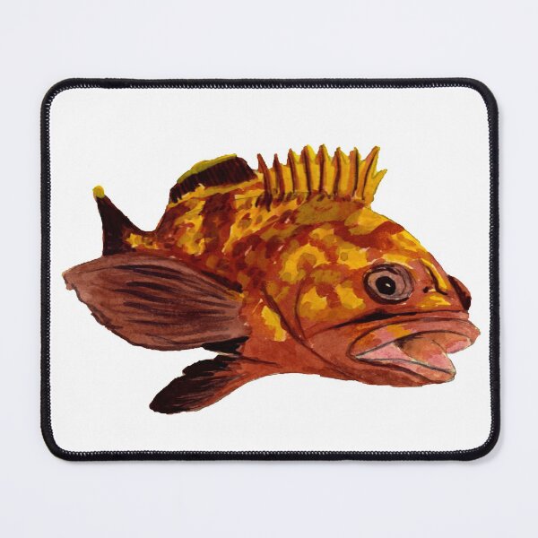 Item preview, grouper - fish designed and sold by Zamen.