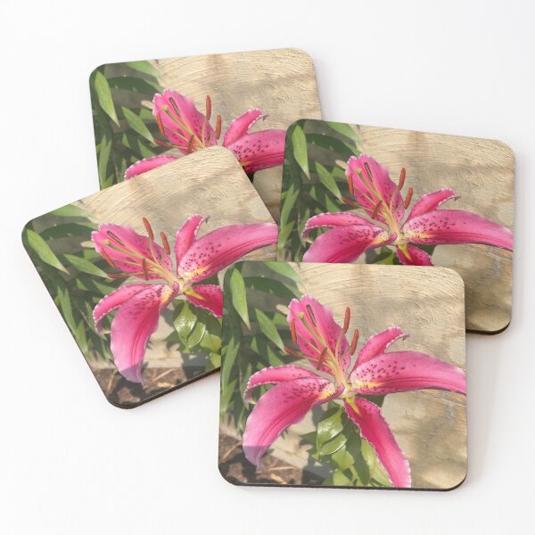 Item preview, Flower bloom in Vermont designed and sold by KyleLemieux.